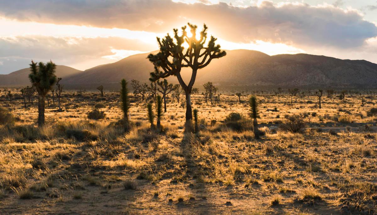 5 American Camping Destinations On Our Bucket List - www.icecofreezesale.com
