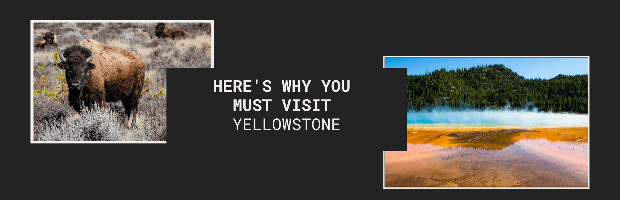 Top 5 Things to See on Your Next Road Trip Vacation in Yellowstone - www.icecofreezesale.com