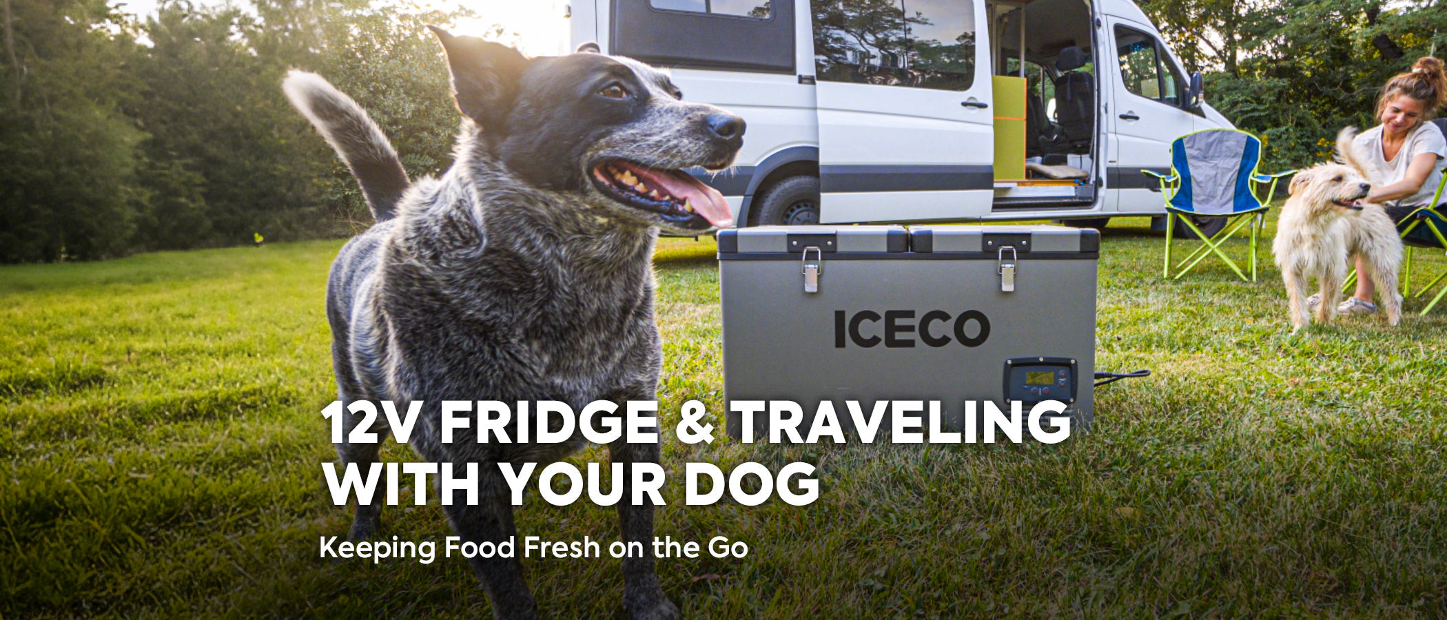 12V Fridge & Traveling with Your Dog: Keeping Food Fresh on the Go