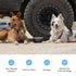 Stainless Steel Dog Bowl, Dog Food and Water Bowl | ICECO-accessories-www.icecofreezesale.com