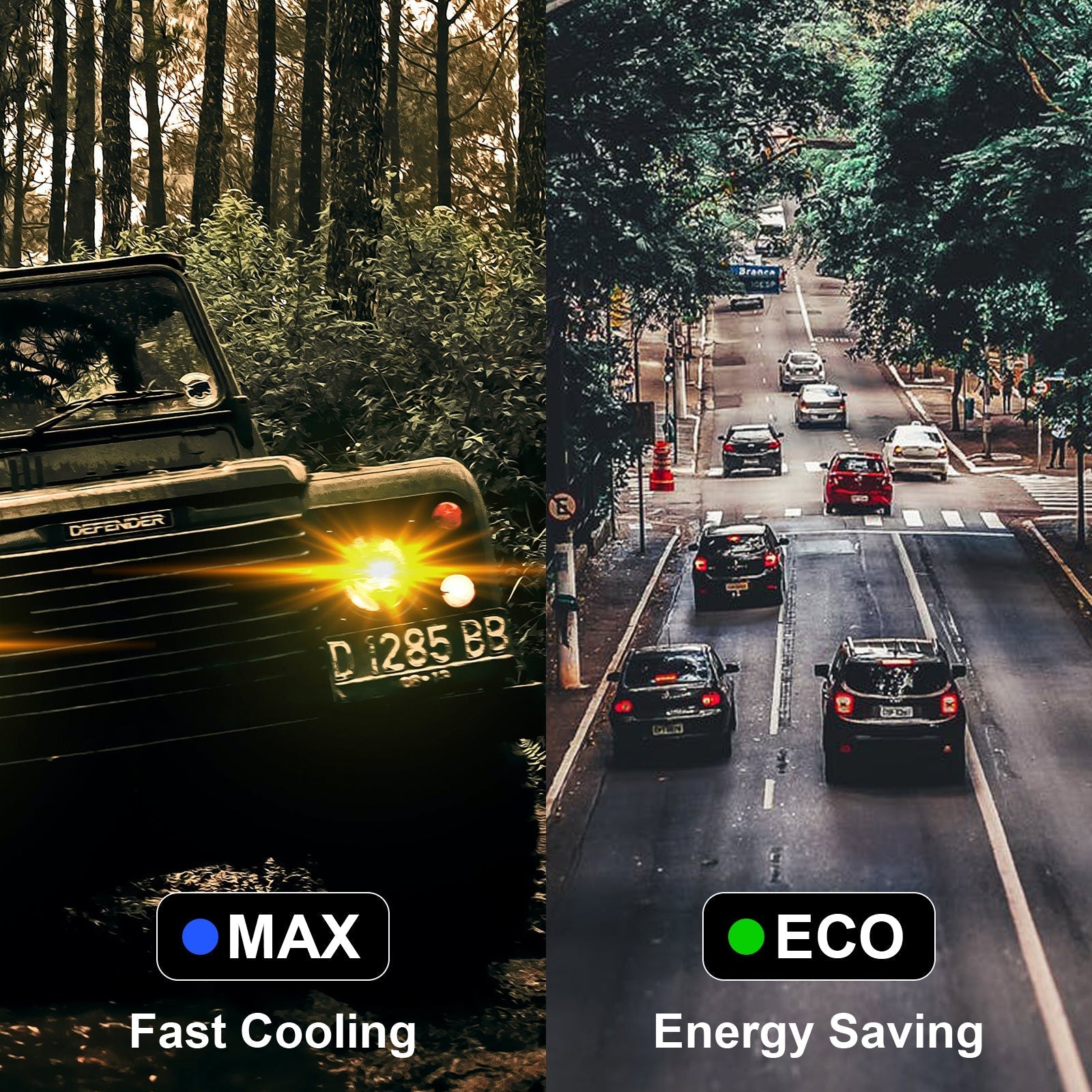 electric cooler、rv 12 volt fridge、cooler that plugs into car、electric ice chest for car、12 volt fridge、12 volt dc cooler、most efficient 12v fridge