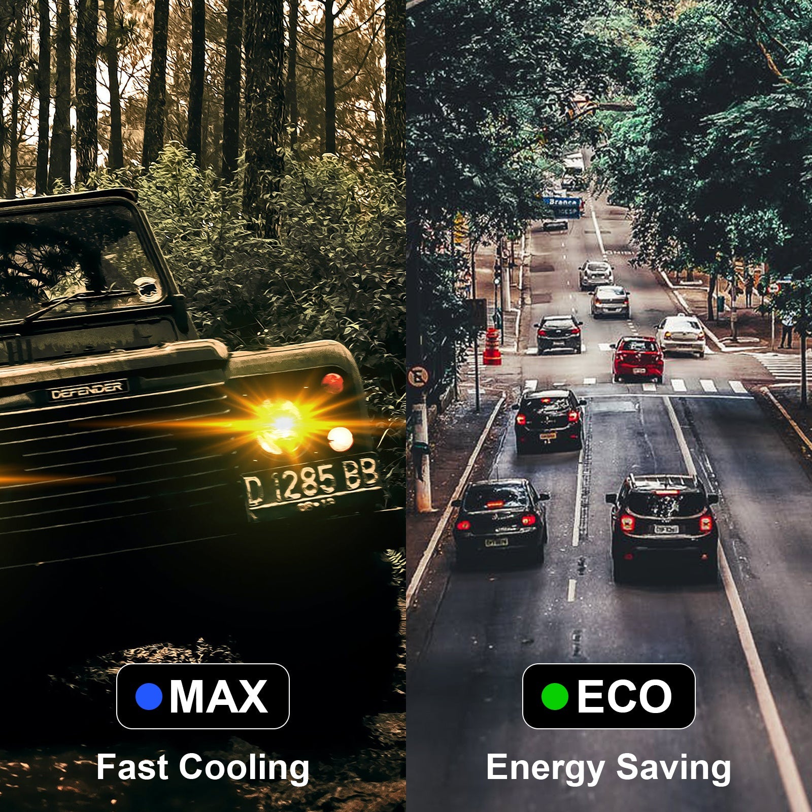 electric cooler、rv 12 volt fridge、cooler that plugs into car、electric ice chest for car、12 volt fridge、12 volt dc cooler、most efficient 12v fridge